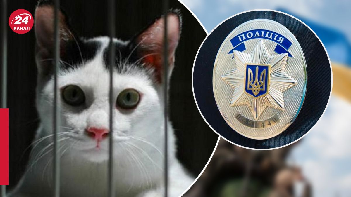 Издевательство над животными в столичном вузе Издевательство над животными в столичном вузе