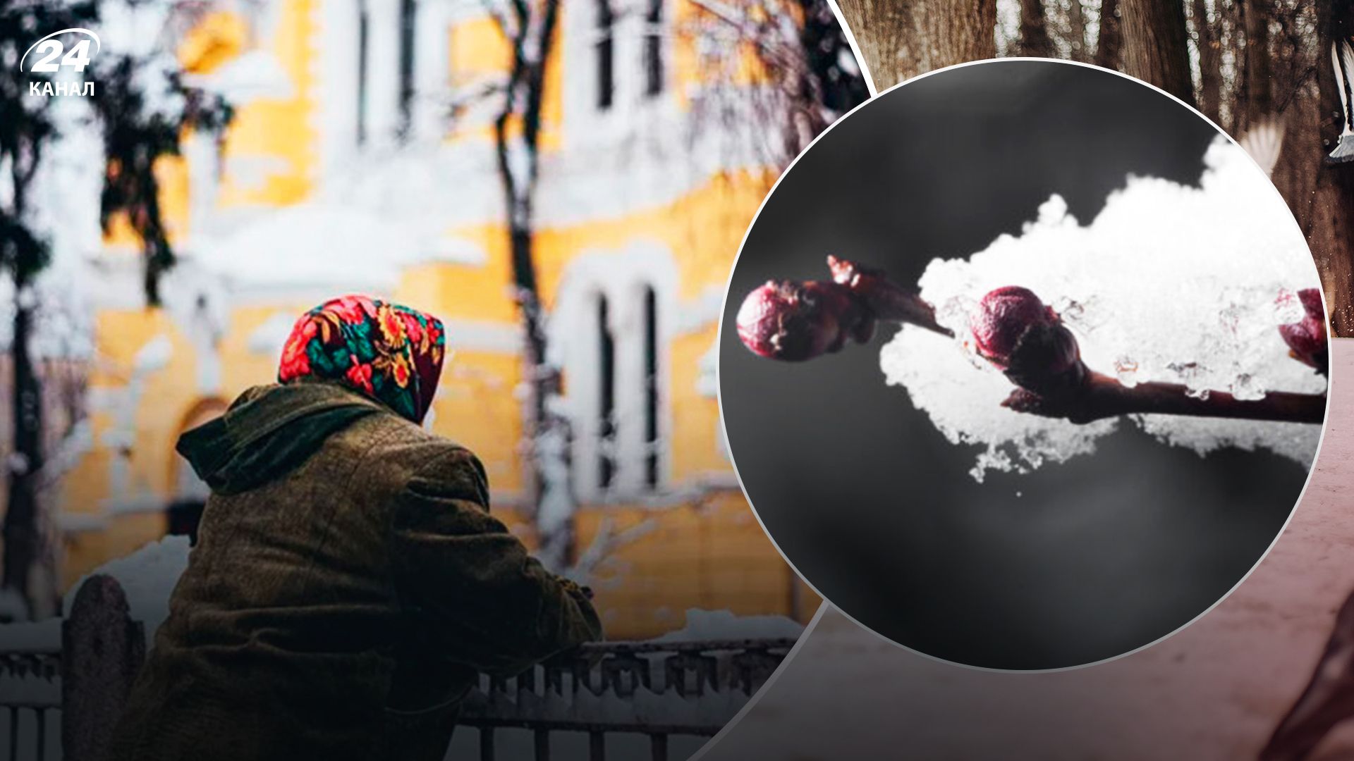 Похолодання в Україні - 24 Канал Похолодання в Україні - 24 Канал