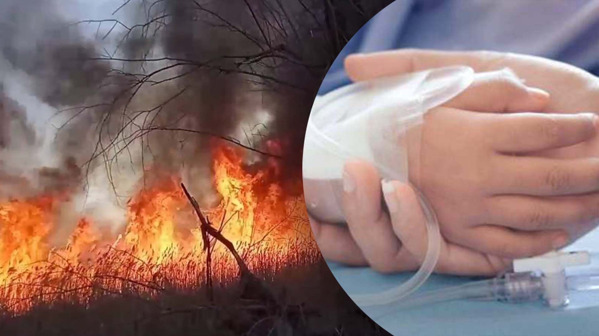 Что известно об инциденте в Винницкой области Что известно об инциденте в Винницкой области