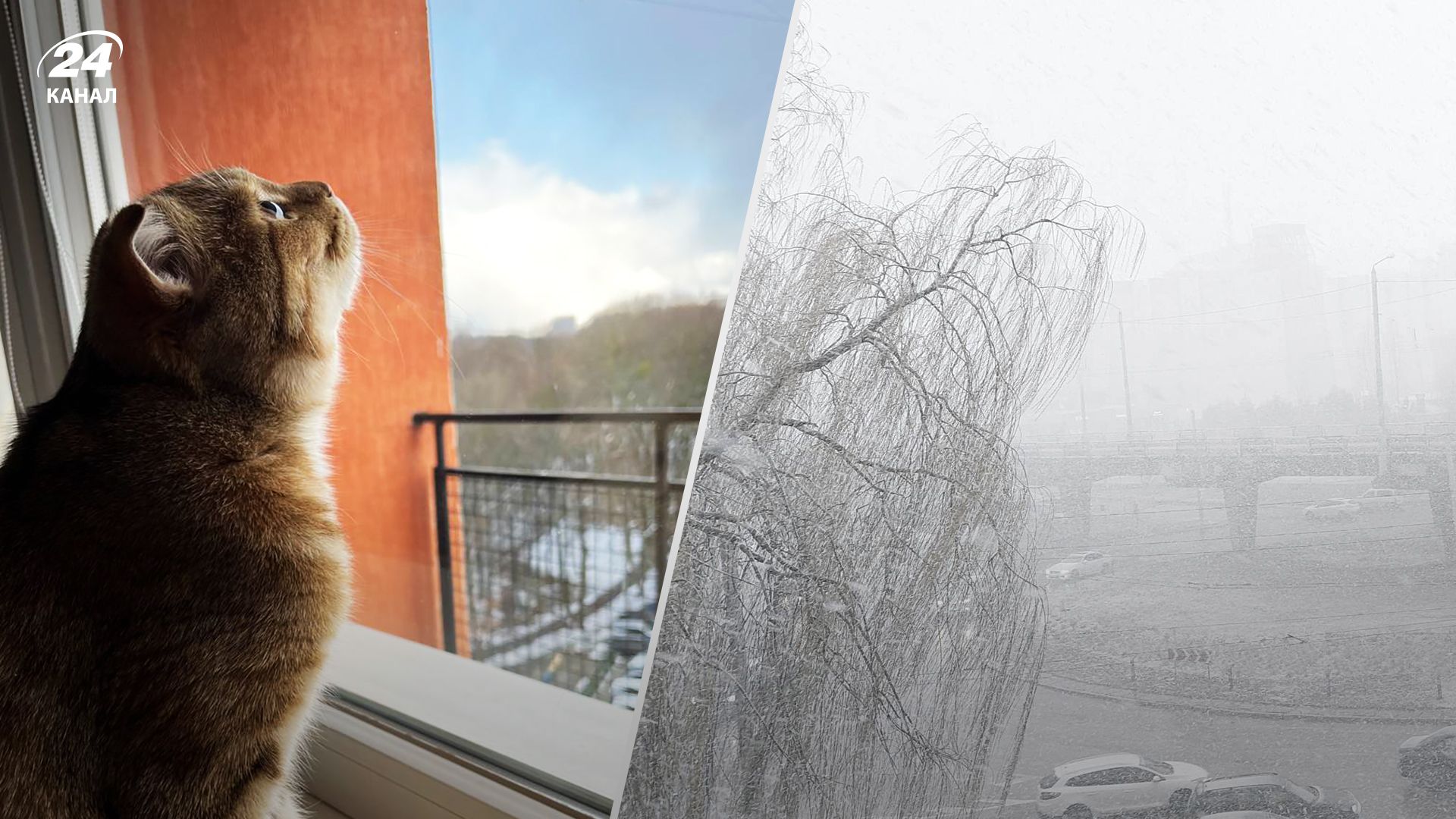 У Львові та Києві випав сніг 28 березня 2023 - фото У Львові та Києві випав сніг 28 березня 2023 - фото