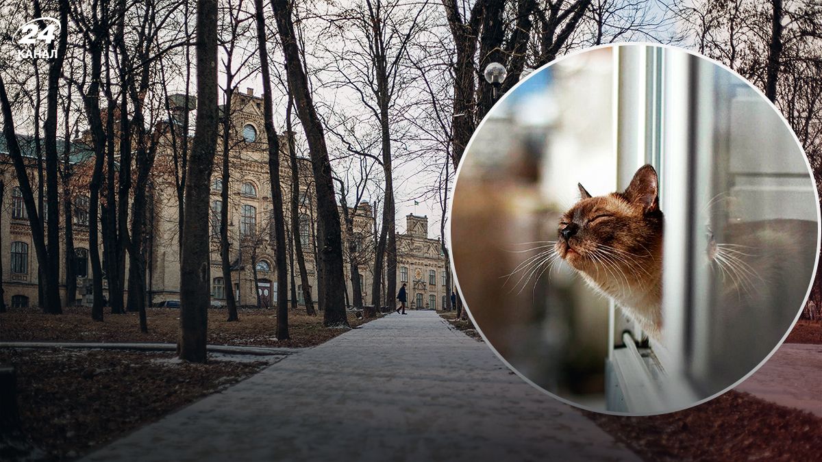 Когда в Украине потеплеет - 24 Канал Когда в Украине потеплеет - 24 Канал