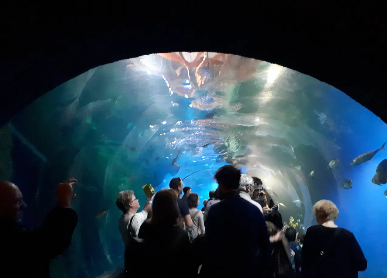 Африкаріум у Вроцлаві Африкаріум у Вроцлаві