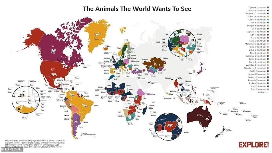 Найпопулярніші тварини в різних країнах світу