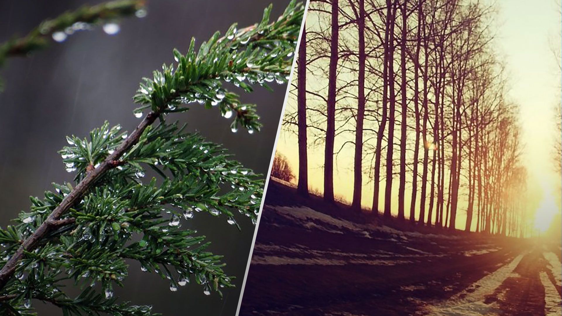 Якоб буде погода в Україні - синоптики дали прогноз на 31 березня - 24 Канал Якоб буде погода в Україні - синоптики дали прогноз на 31 березня - 24 Канал