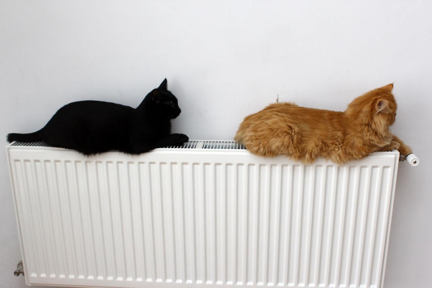 В яких областях України уже закінчився опалювальний сезон В яких областях України уже закінчився опалювальний сезон