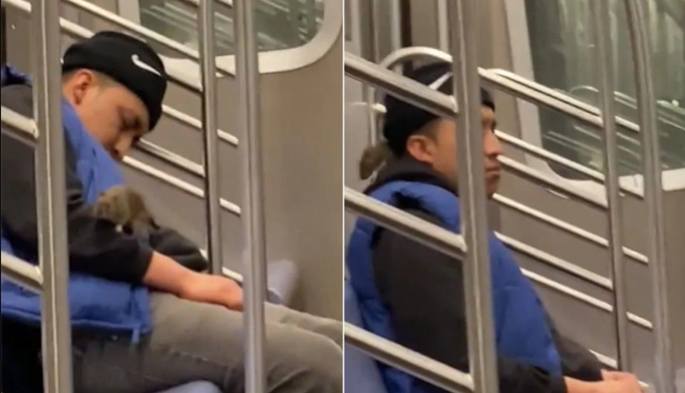 Гигантская крыса залезла мужчине на шею в метро: видео с его реакцией стало вирусным - 24 Канал