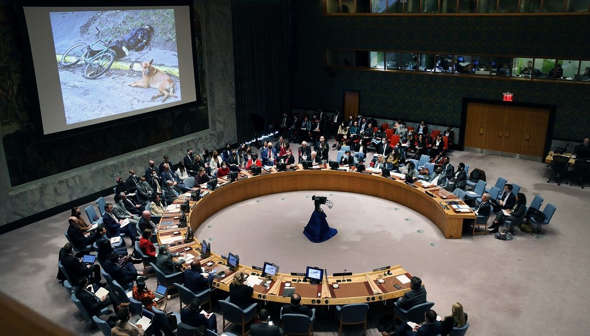 Головування Росії в Радбезі ООН – Подоляк відреагував - 24 Канал Головування Росії в Радбезі ООН – Подоляк відреагував - 24 Канал