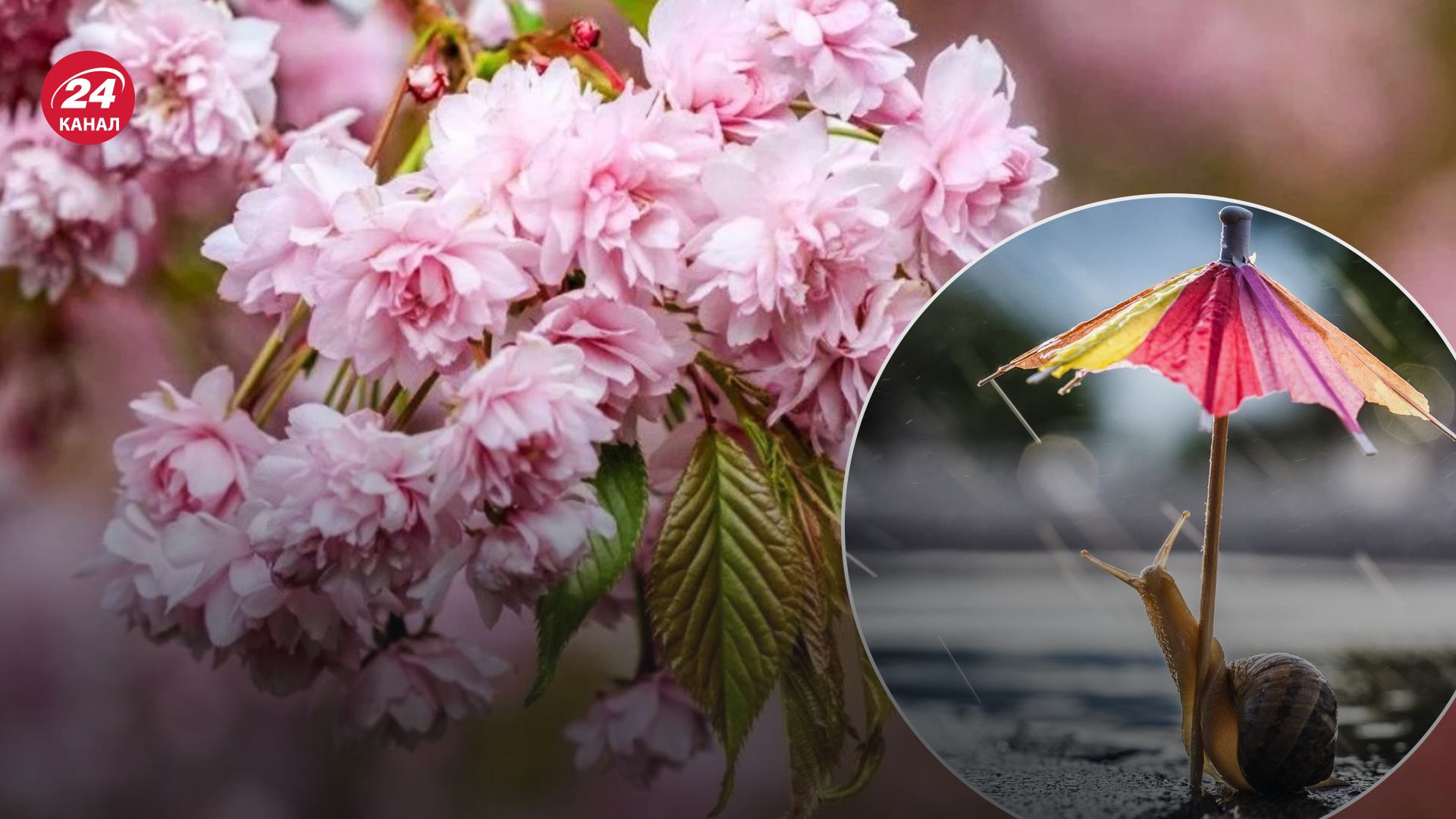 Погода в Україні 1 квітня Погода в Україні 1 квітня