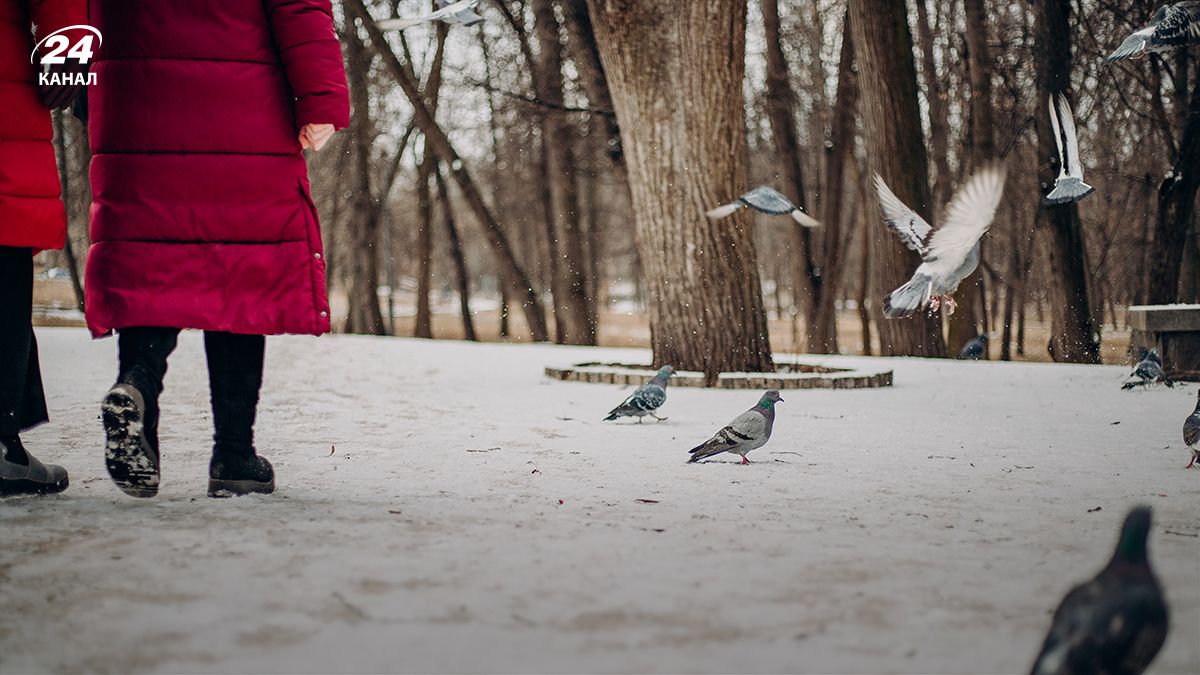 Сніг у квітні - 24 Канал Сніг у квітні - 24 Канал