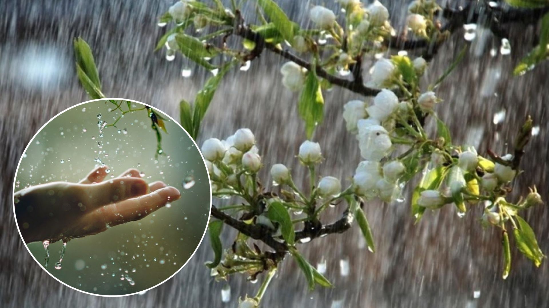 Прогноз погоди сьогодні - якою буде погода в Україні 3 квітня - 24 Канал Прогноз погоди сьогодні - якою буде погода в Україні 3 квітня - 24 Канал