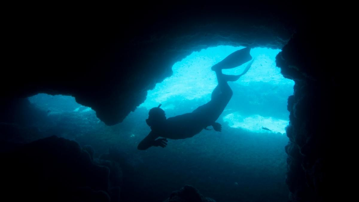 Американский профессор проведет 100 дней в замкнутом пространстве под водой Американский профессор проведет 100 дней в замкнутом пространстве под водой