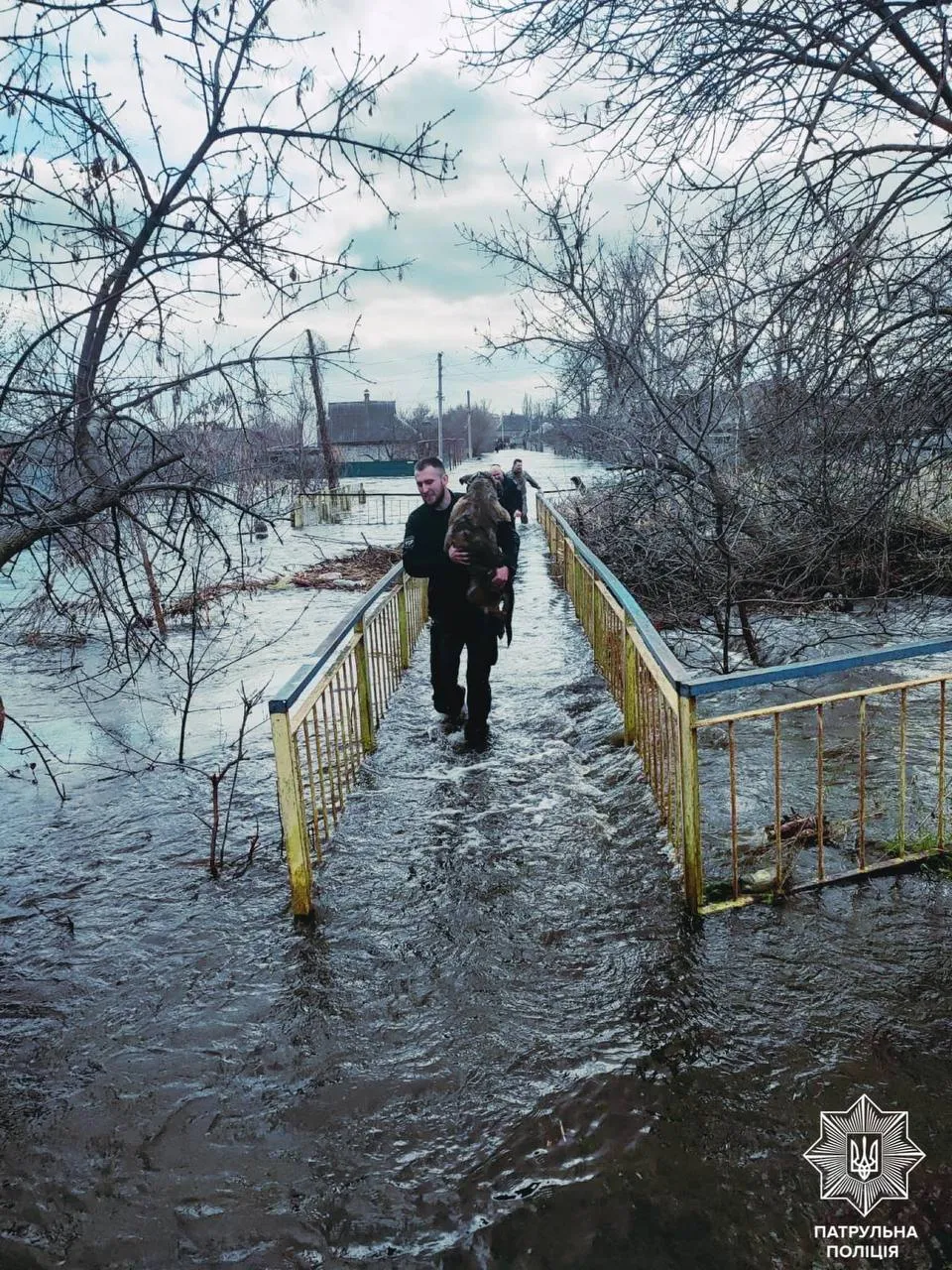 Полицейский спасает собачку из водяной ловушки в Краматорском районе