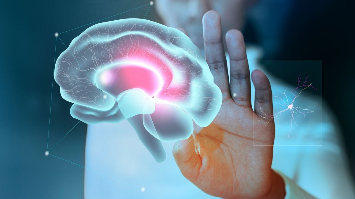 Шовк відкрив ученим шлях до регенерації пошкоджених нервів Шовк відкрив ученим шлях до регенерації пошкоджених нервів