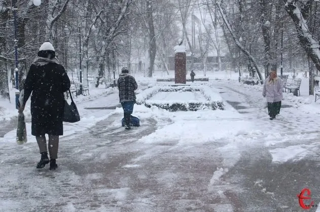 Снігопад у квіті у Хмельницькому