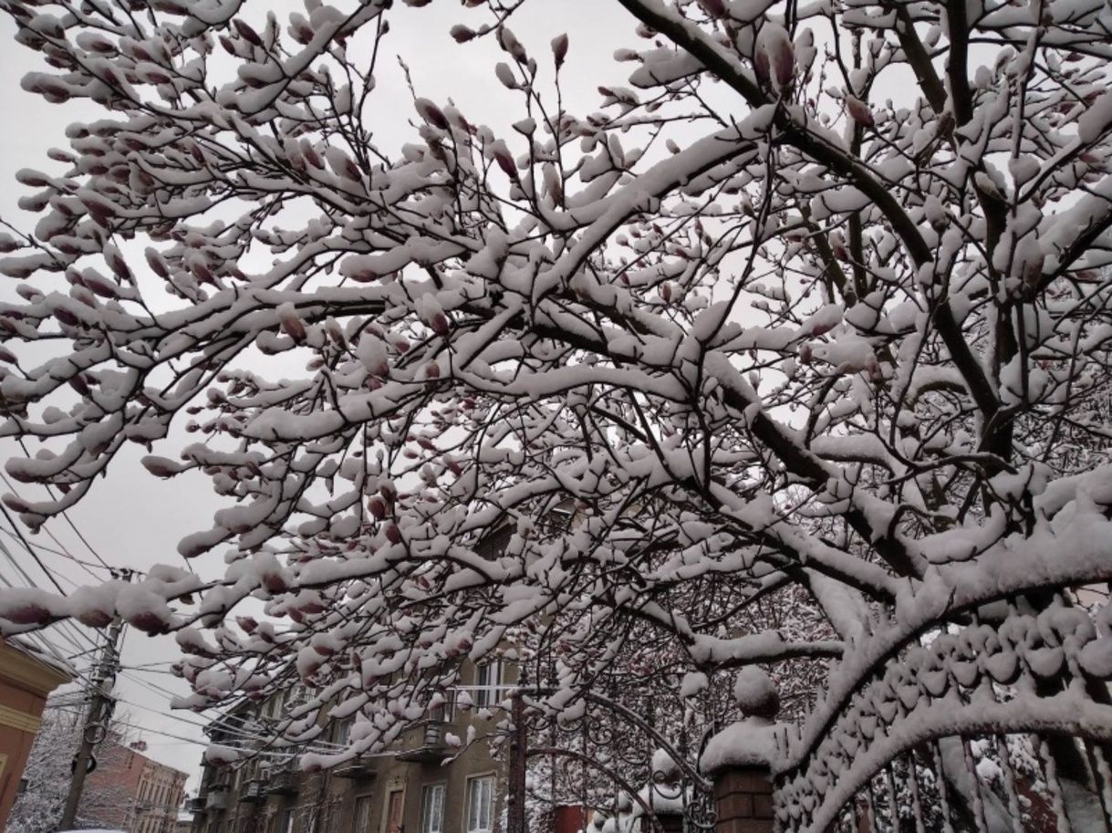 Онлайн-обучение - школьники в Черновцах два дня будут учиться дистанционно - 24 Канал - Образование Онлайн-обучение - школьники в Черновцах два дня будут учиться дистанционно - 24 Канал - Образование