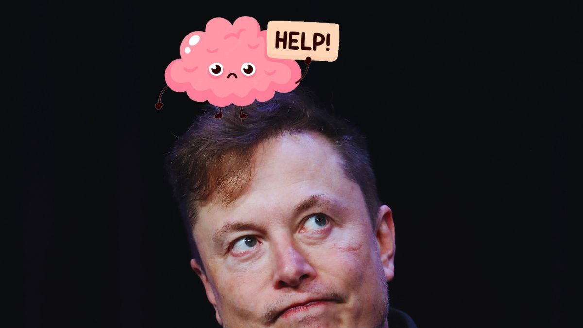 Иллюстративное фото Иллюстративное фото