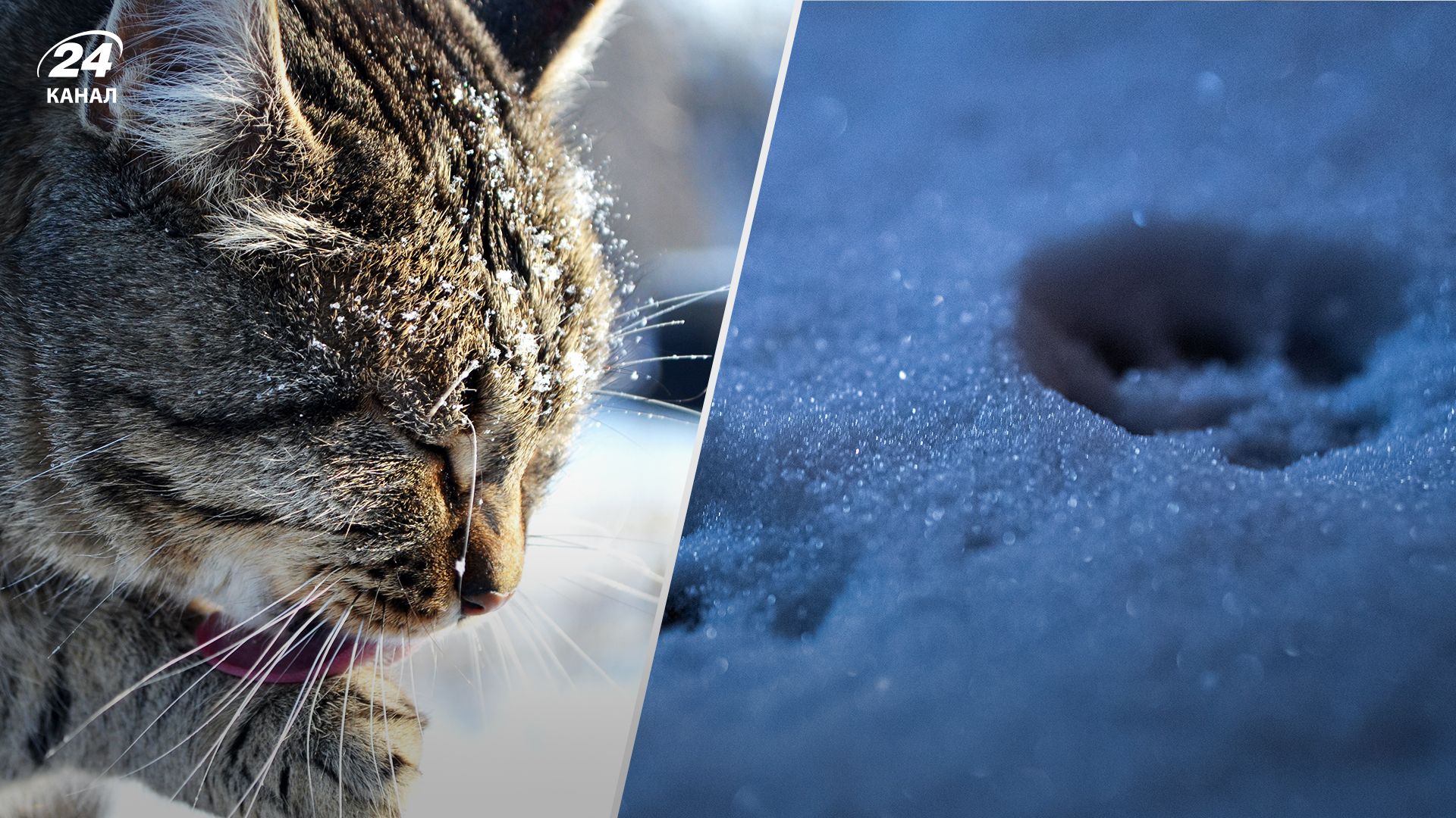 Прогноз погоди в Україні 7 квітня 2023 - деталі від Укргідрометцентру Прогноз погоди в Україні 7 квітня 2023 - деталі від Укргідрометцентру