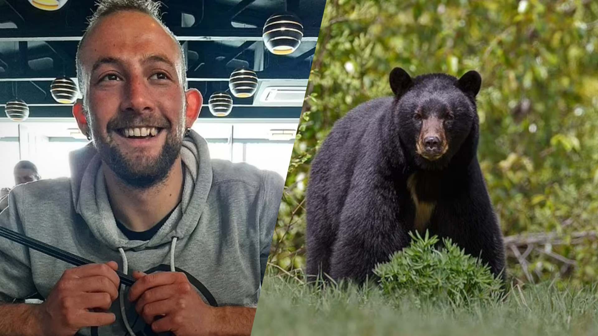 В Італії ведмідь роздер чоловіка