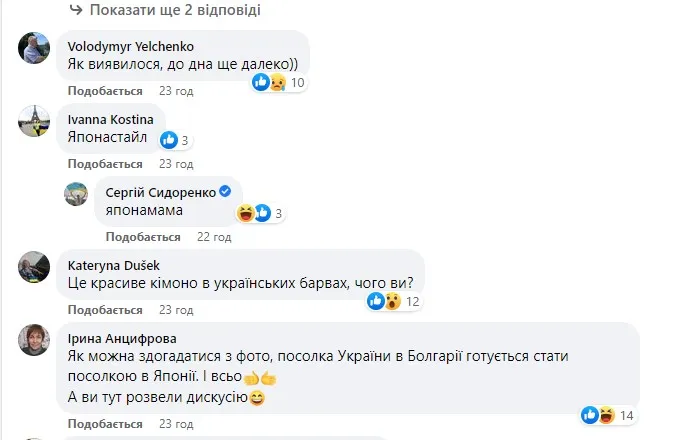 Украинцы не оценили блузу посла Украинцы не оценили блузу посла