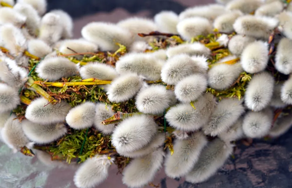 Вербное воскресенье Вербное воскресенье