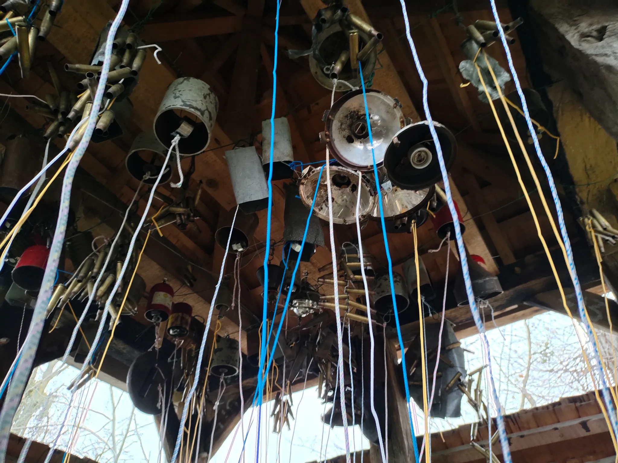 Шевенковская роща Шевенковская роща