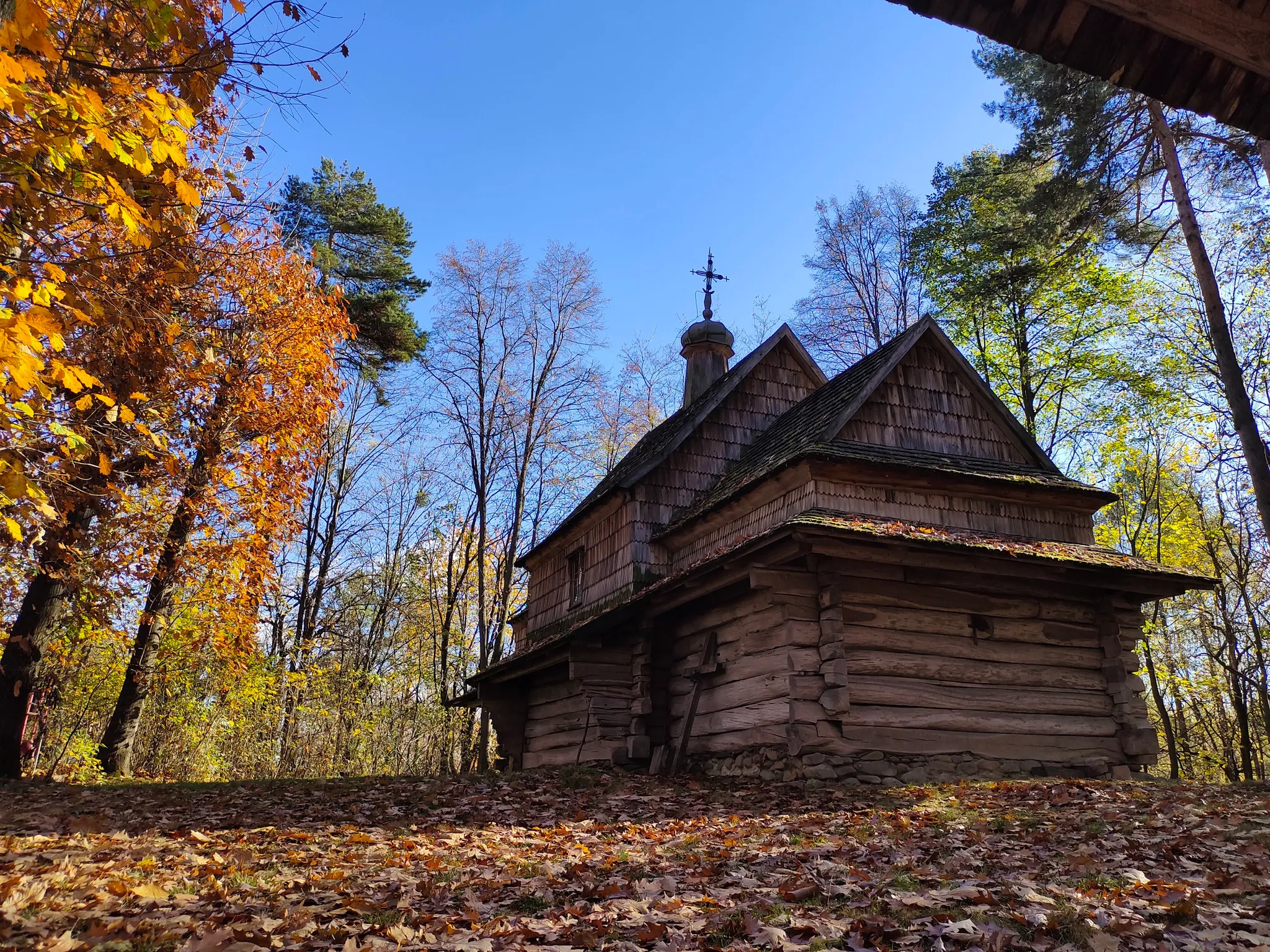 Шевченковская роща Шевченковская роща