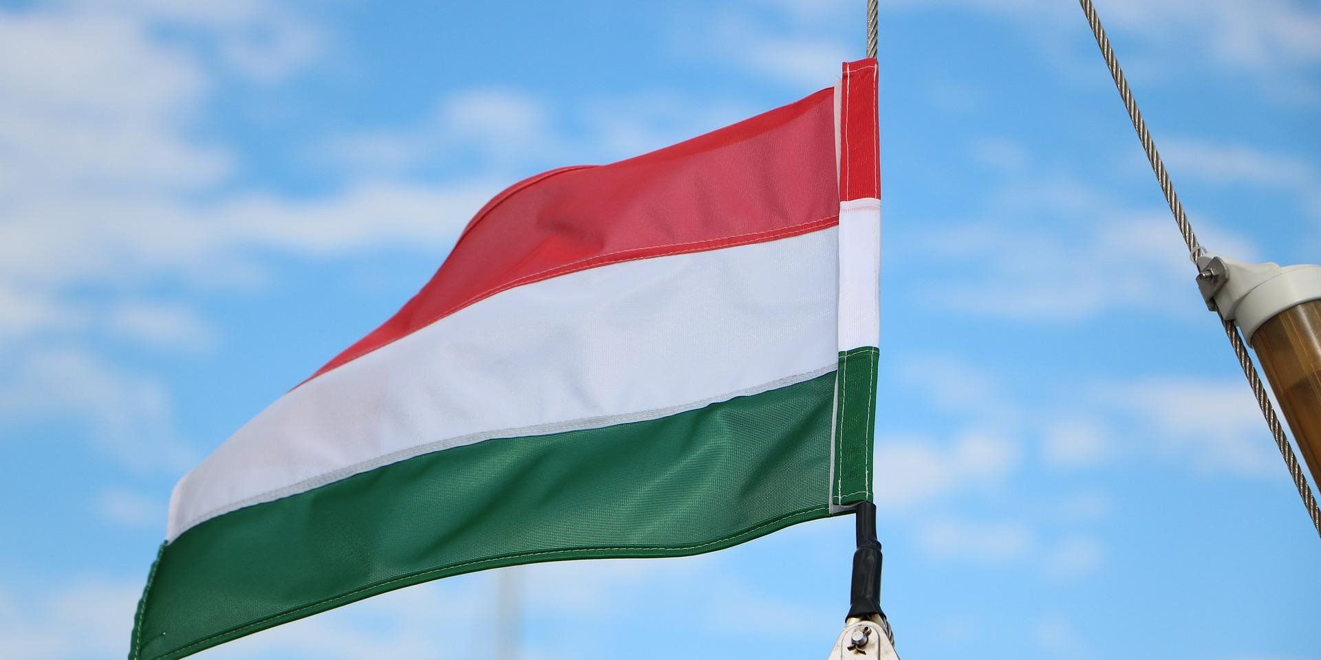 Як Угорщина фінансує війну проти України - пояснення Устенка