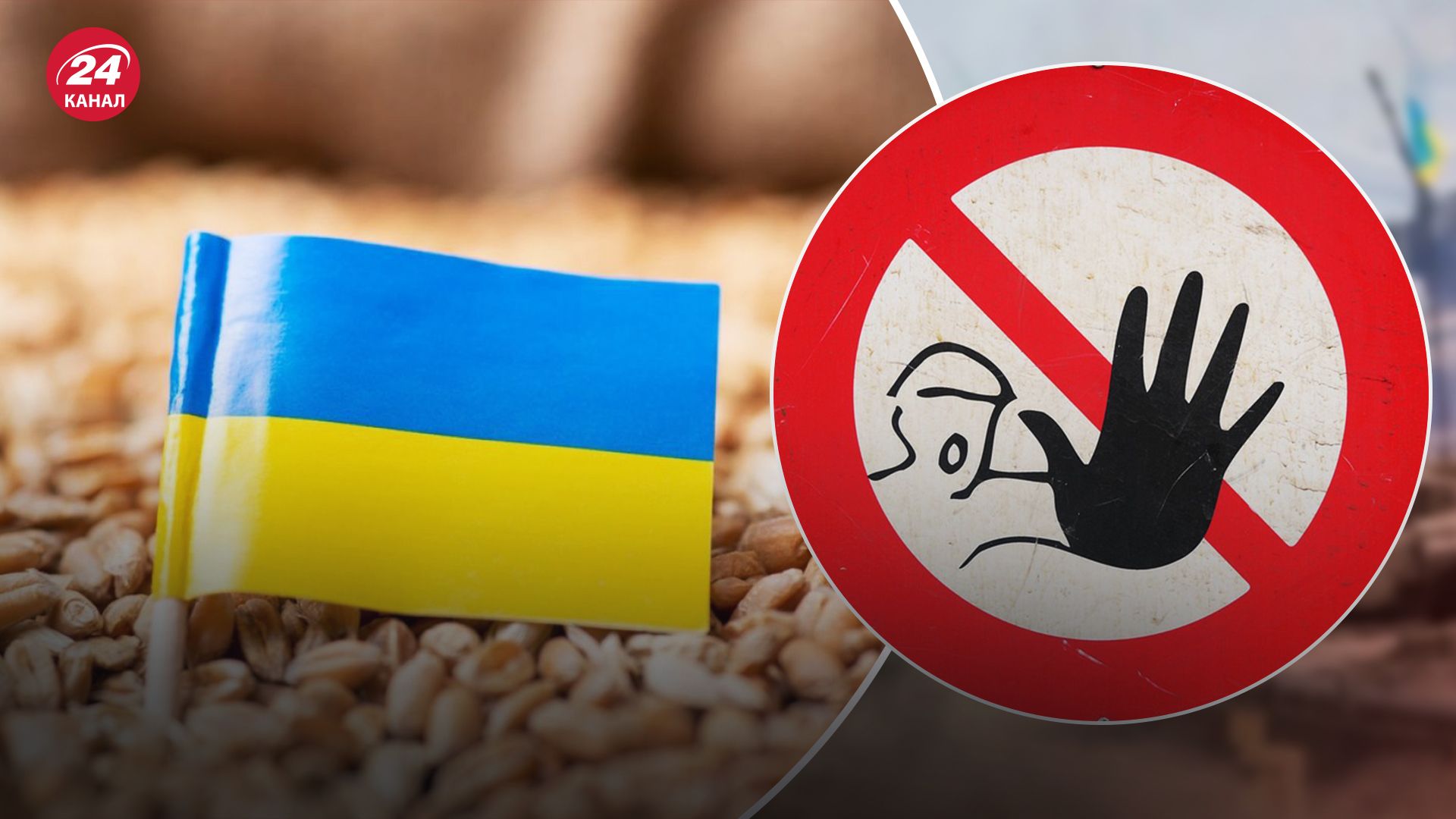 Польша запретила ввоз зерна и другой продовольствия из Украины - 24 Канал