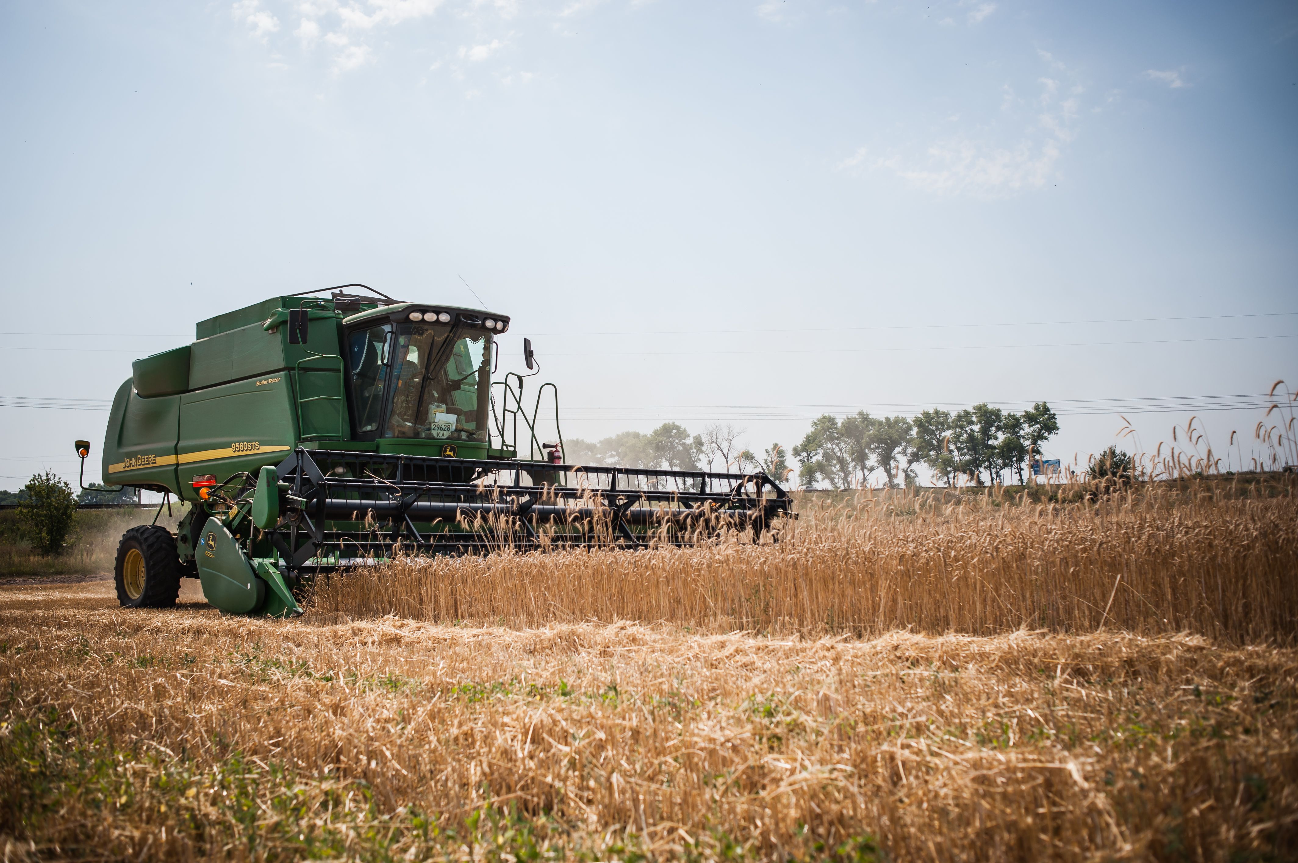 Украина является крупным экспортером зерновых в мире