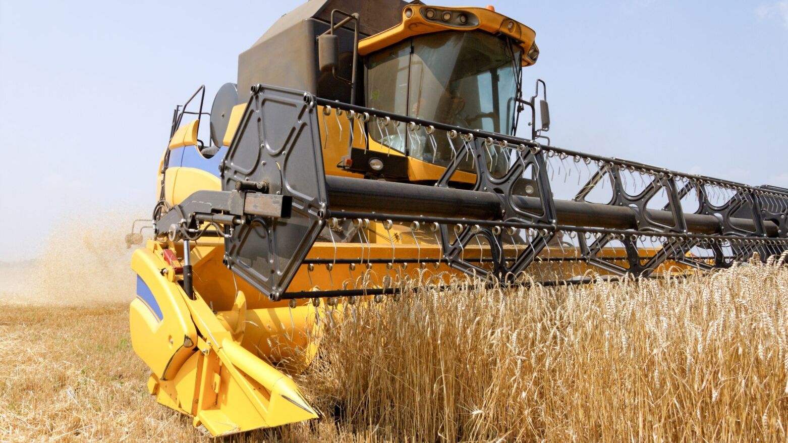 Угорщина заборонила імпорт українського зерна - Економіка