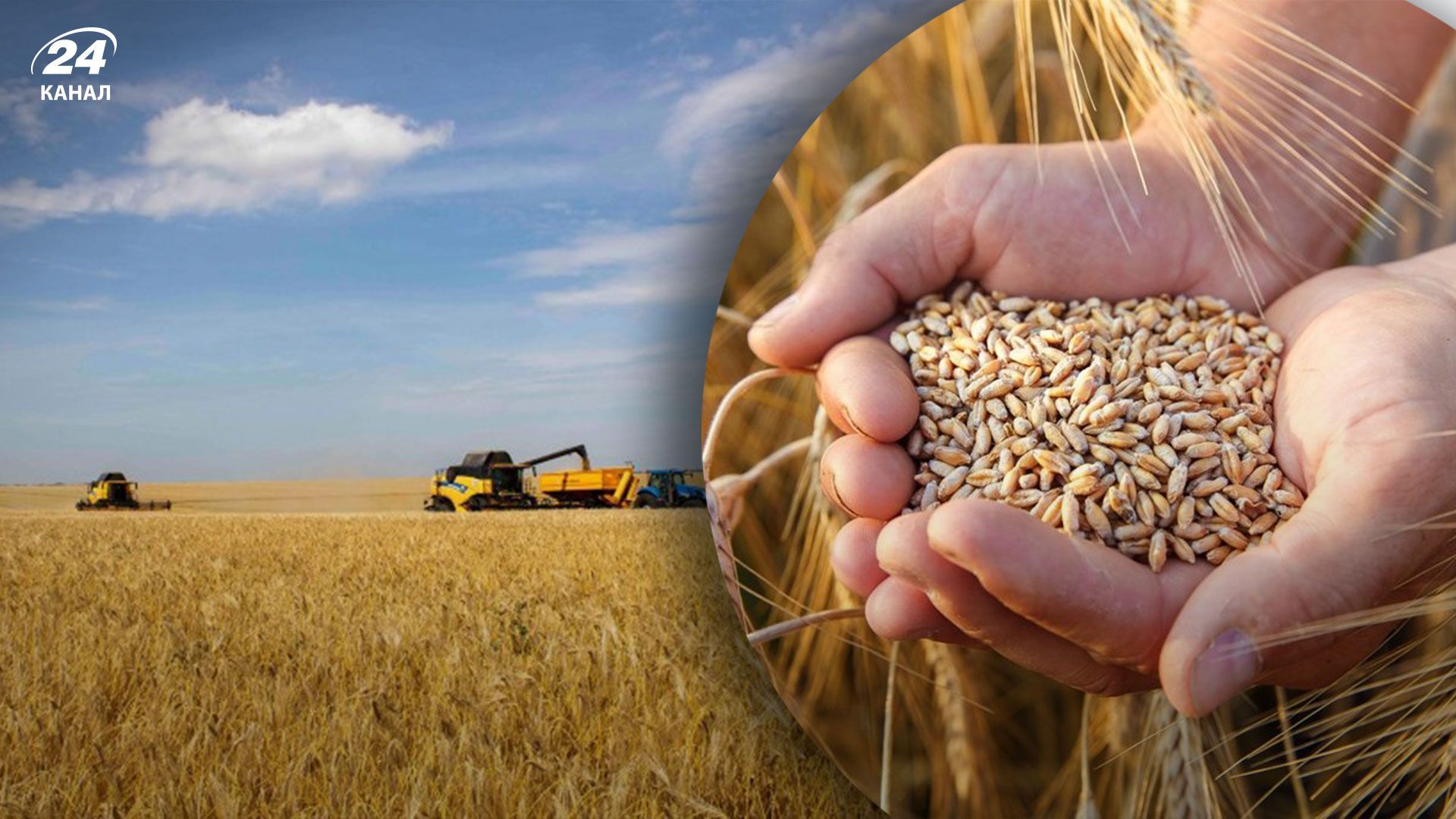 Запрет импорта украинского зерна - Болгария может последовать примеру Польши и Венгрии - Экономика