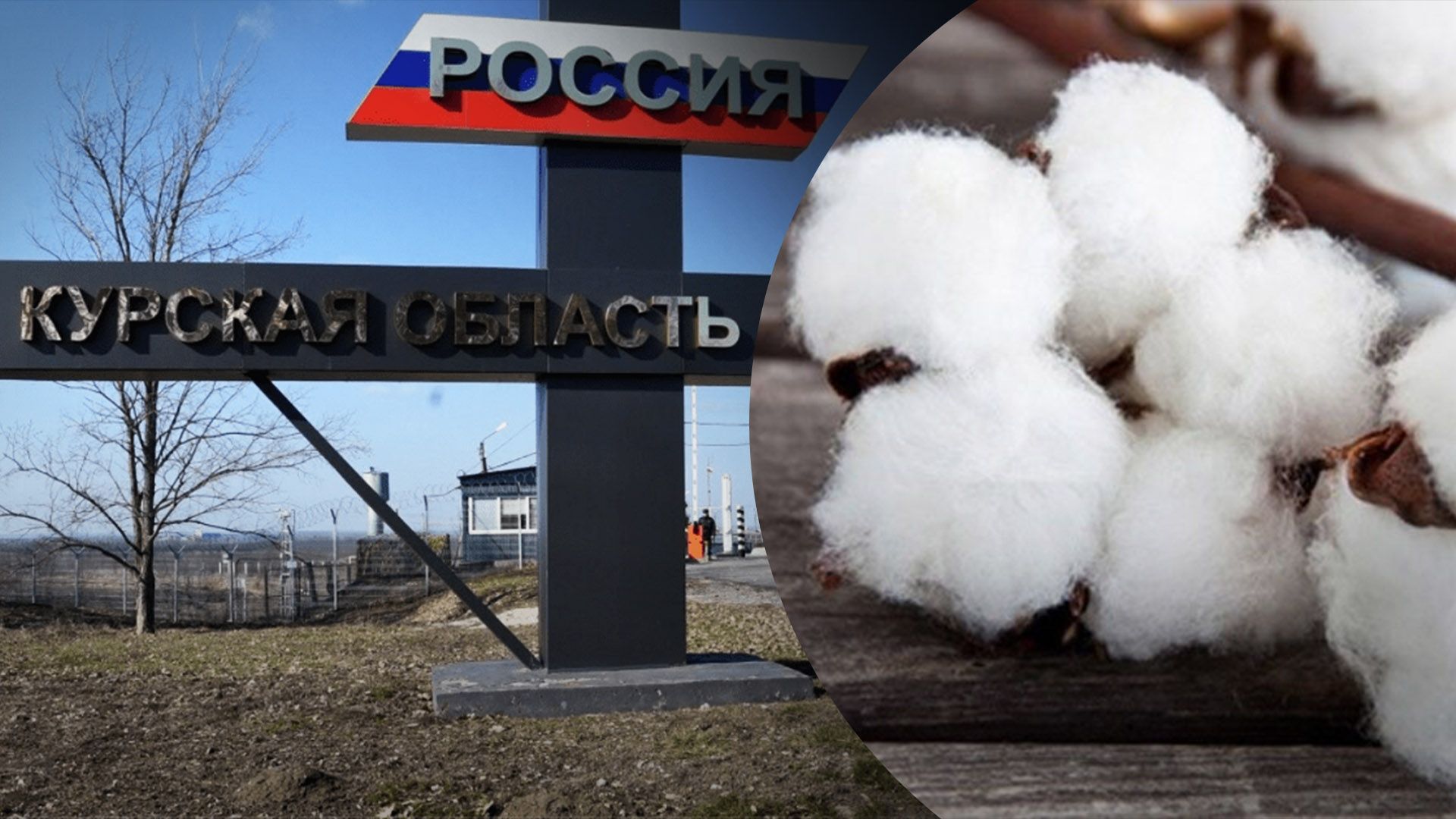 Громко было не только в Белгороде: вечером "хлопок" приехал и под Курск - 24 Канал Громко было не только в Белгороде: вечером "хлопок" приехал и под Курск - 24 Канал