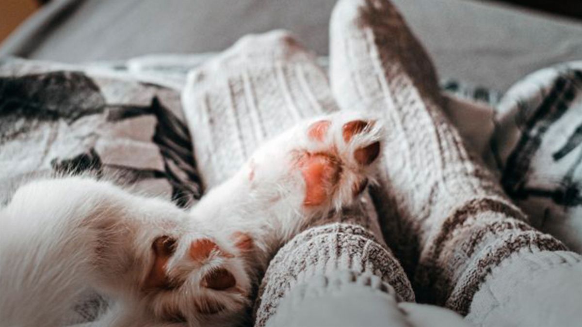 Похолодание - 24 Канал Похолодание - 24 Канал