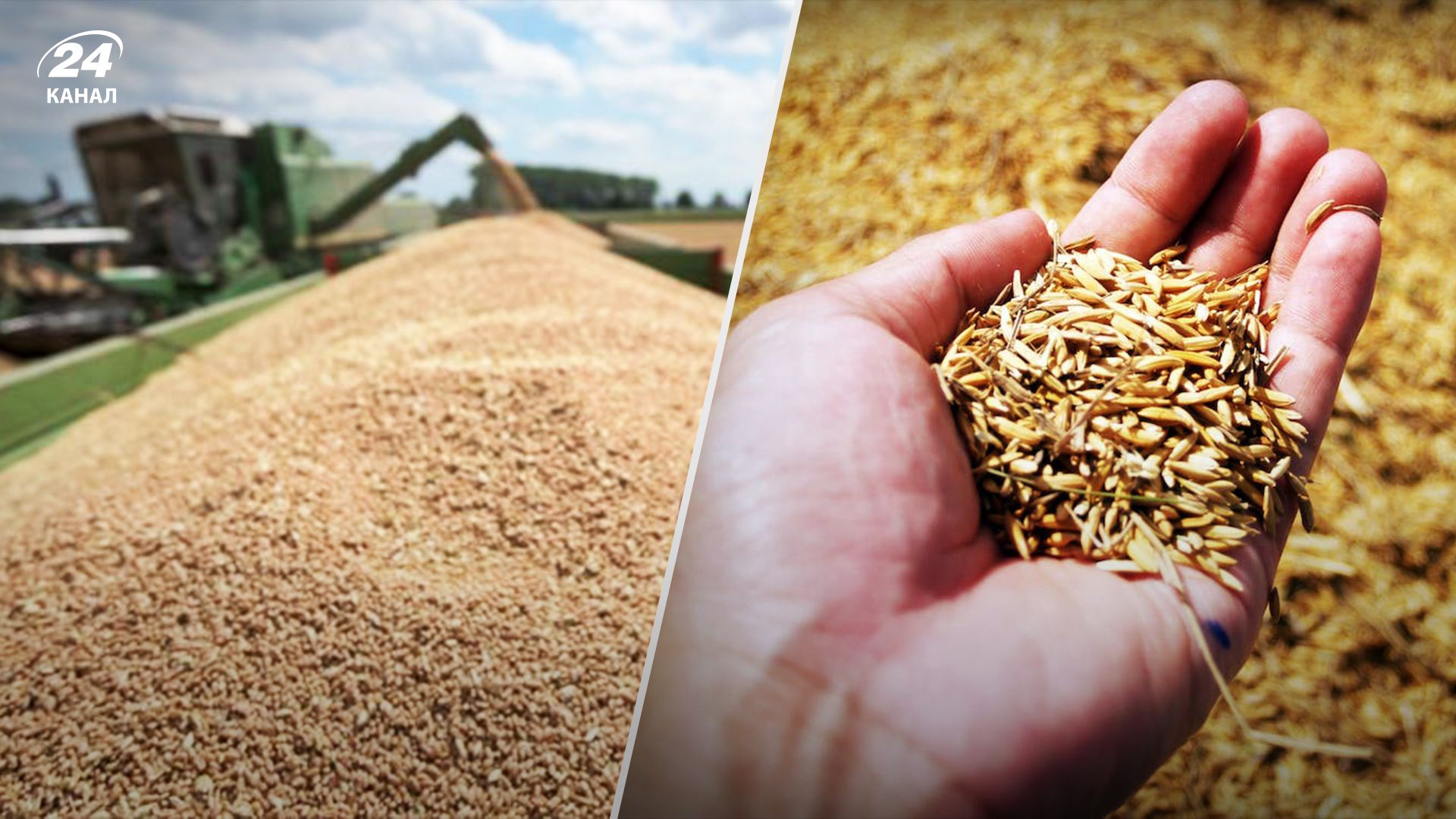 Еще одна европейская страна запретит ввоз зерна из Украины