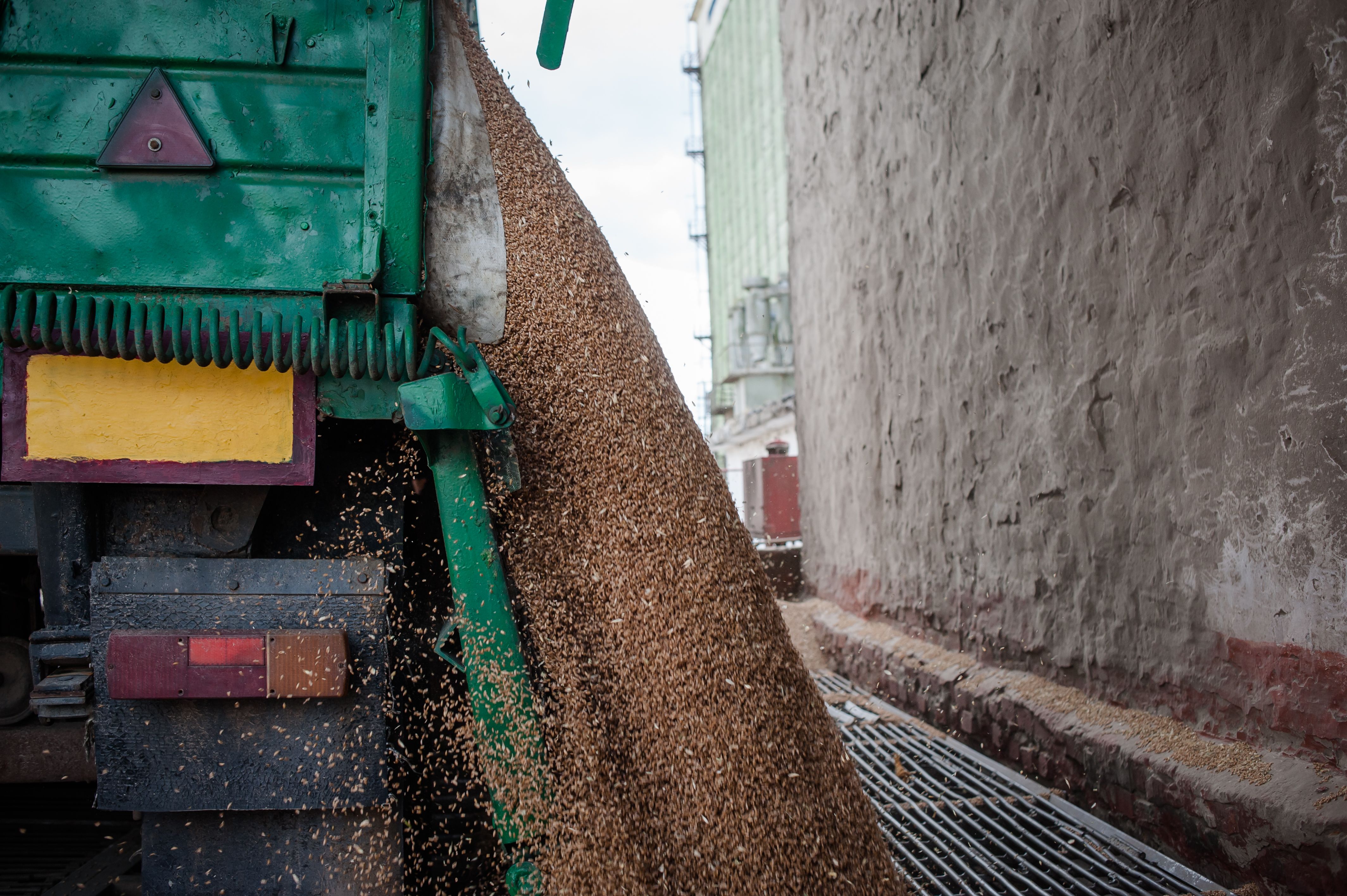 Польша ограничила ввоз зерна Польша ограничила ввоз зерна