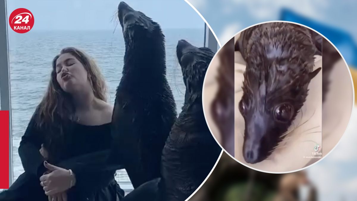 Чи справді в Одесі здають в оренду тварин Чи справді в Одесі здають в оренду тварин