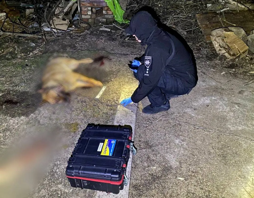 На Київщині чоловік палицею забив собаку до смерті