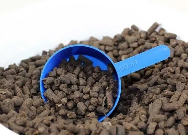 Курячий послід Курячий послід