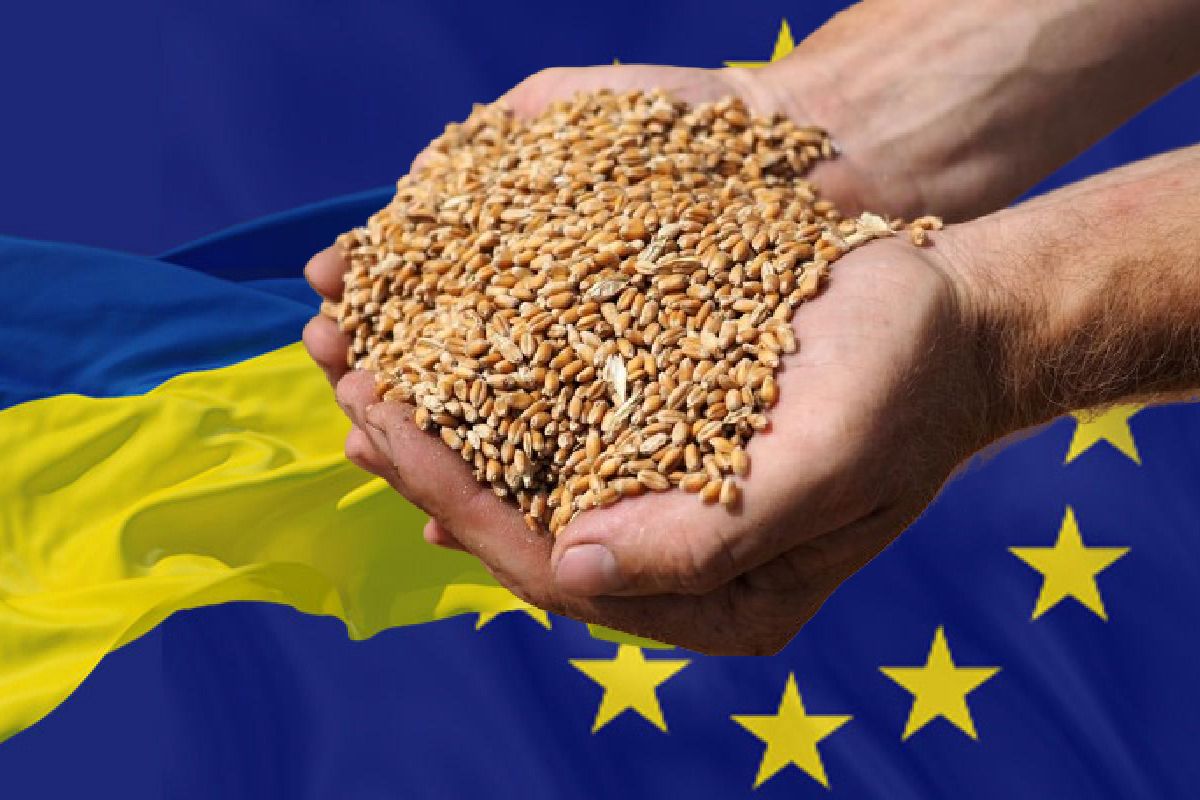 Еврокомиссия планирует запретить импорт украинского зерна