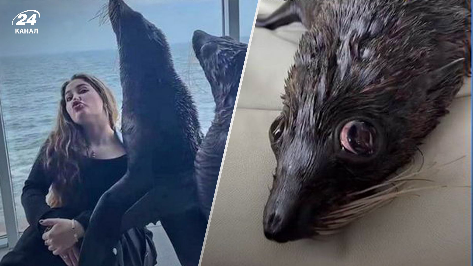 Поліція відкрила провадження через інцидент в одеському дельфінарії Поліція відкрила провадження через інцидент в одеському дельфінарії