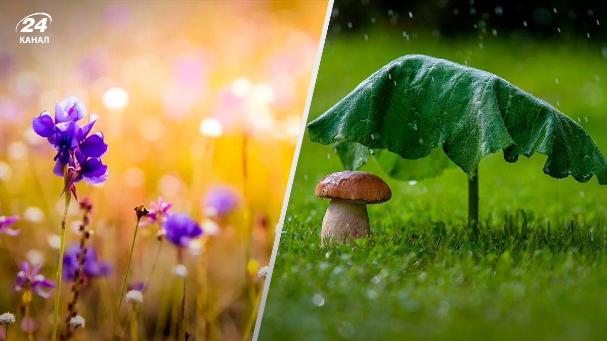 Де не буде дощу найближчим часом - 24 Канал Де не буде дощу найближчим часом - 24 Канал