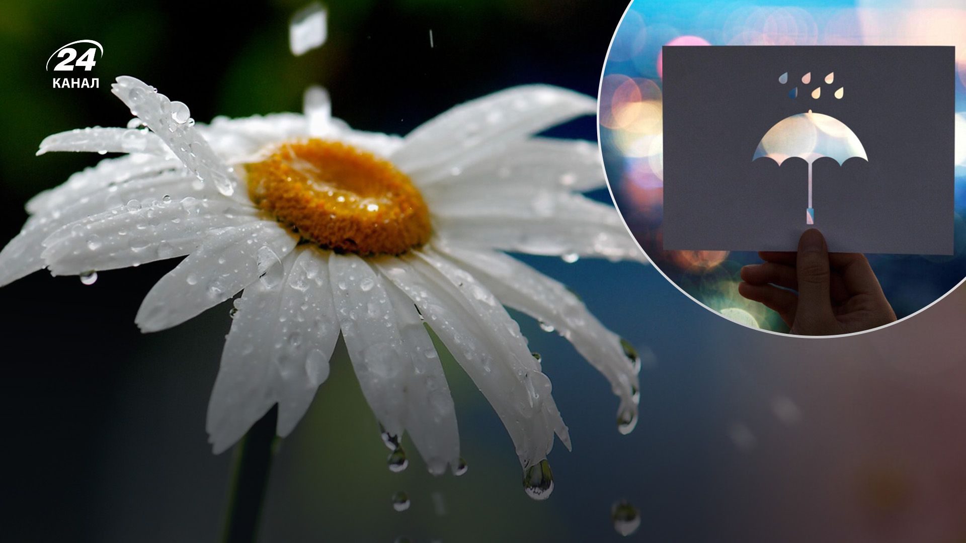 Прогноз погоди в Україні на 22 квітня Прогноз погоди в Україні на 22 квітня