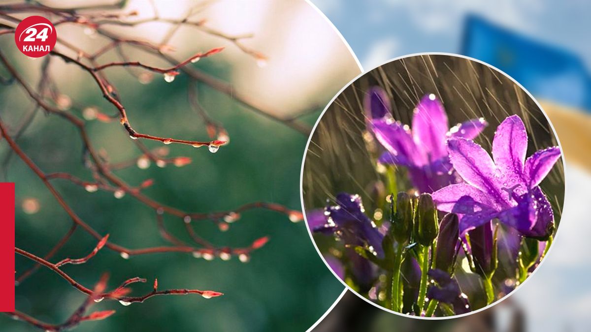 Какая будет погода по территории нашего государства 24 апреля Какая будет погода по территории нашего государства 24 апреля