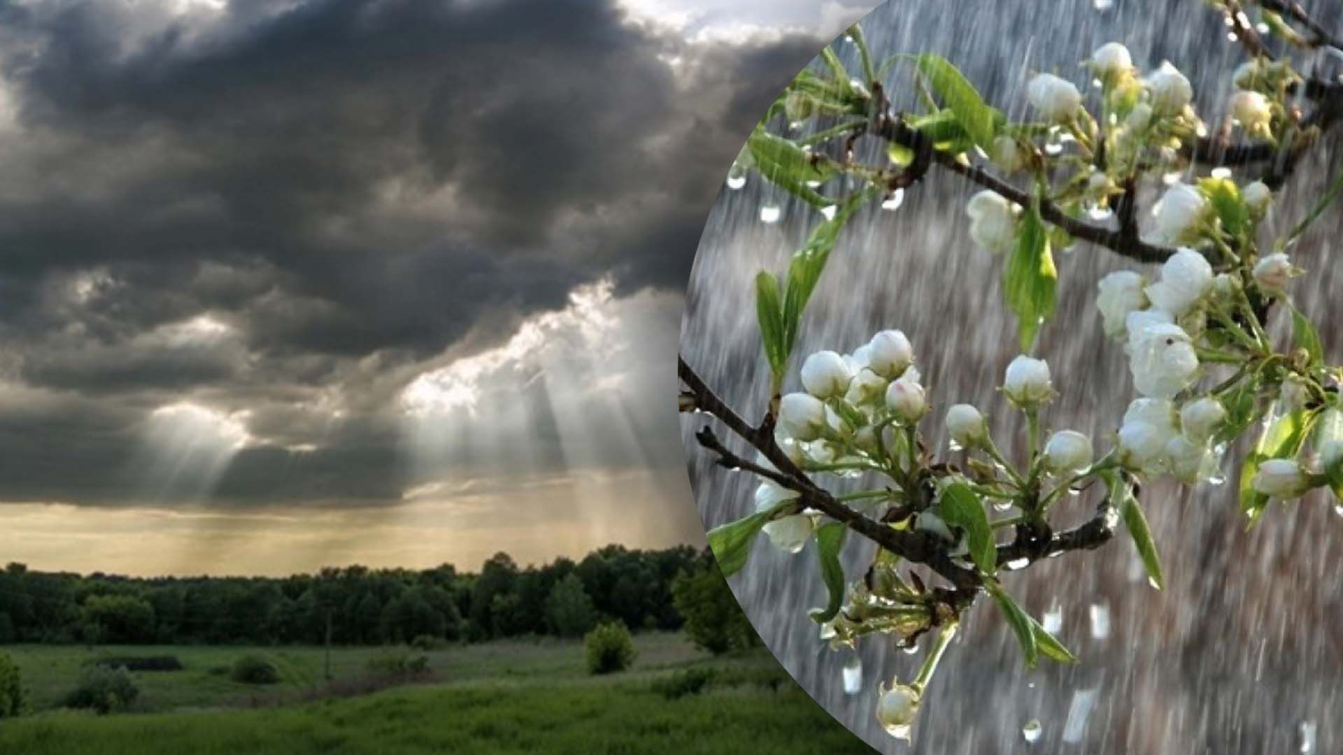 В Украине кое-где снова будет дождь (фото иллюстративные) В Украине кое-где снова будет дождь (фото иллюстративные)