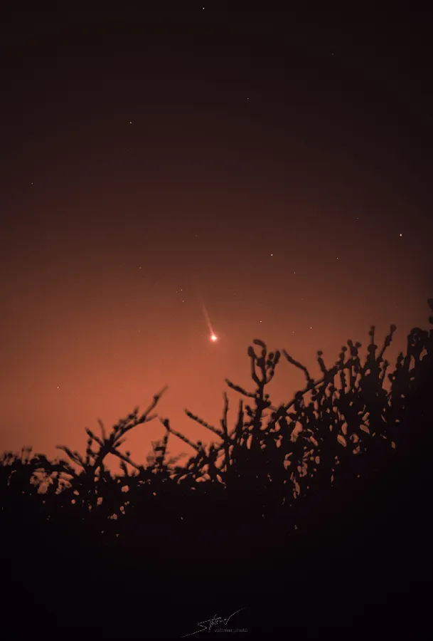 Хвіст Меркурія Хвіст Меркурія