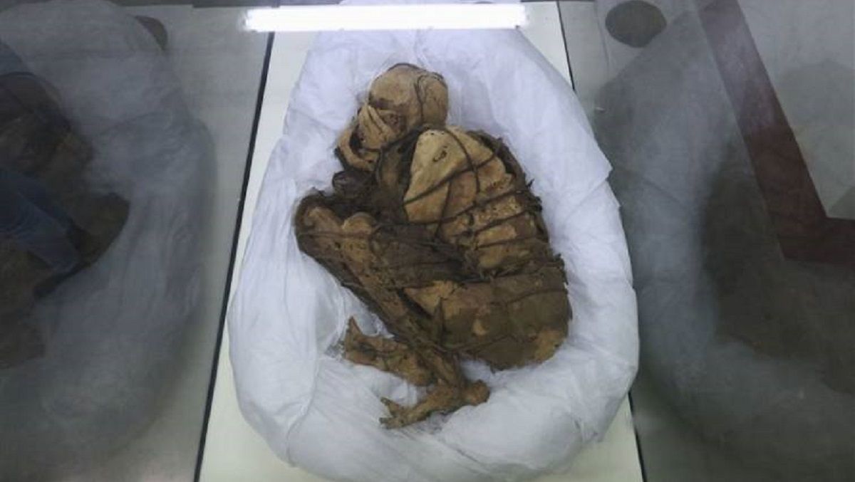 Мумия подростка Мумия подростка