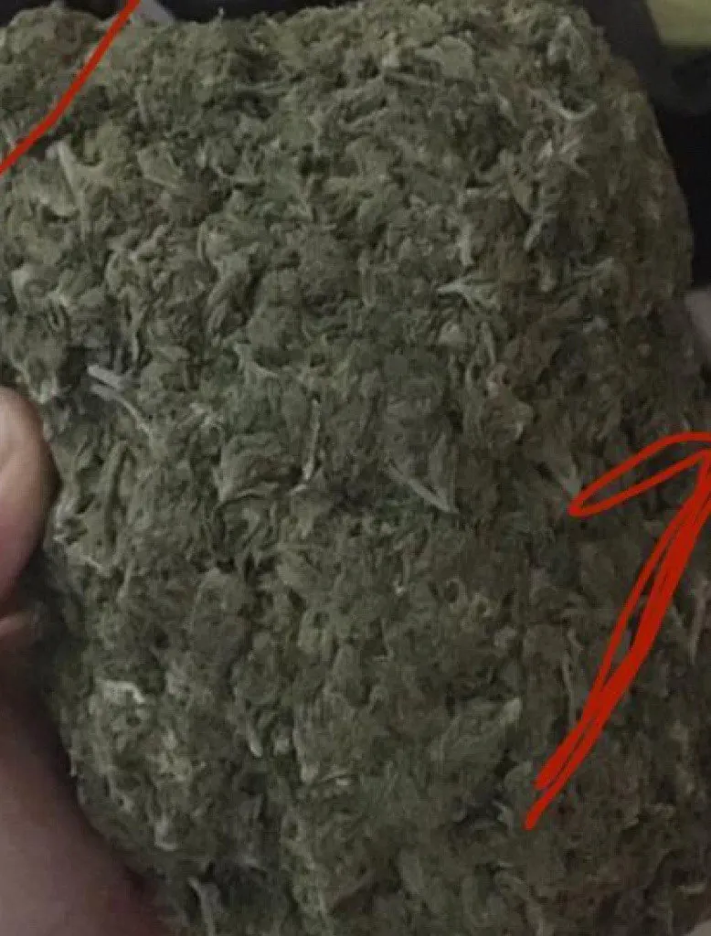 Атеш вилучили в окупантів наркотики Атеш вилучили в окупантів наркотики