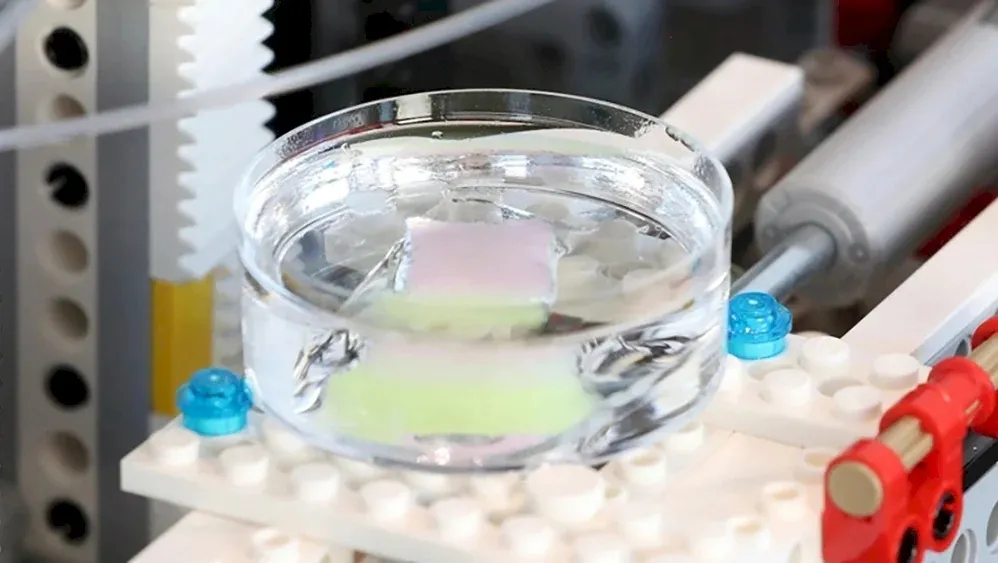 Біопринтер друкує шкіру Біопринтер друкує шкіру