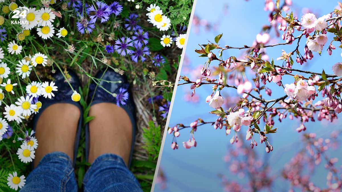 В Украине идет потепление - 24 Канал В Украине идет потепление - 24 Канал