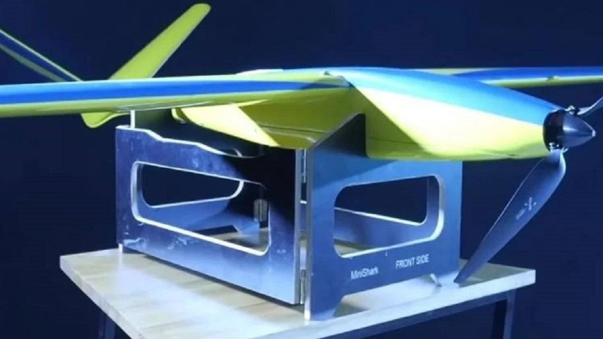 Shark Mini Shark Mini